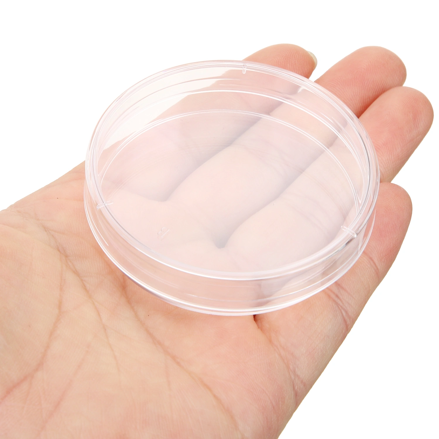 10pcs Plastic Petri Dish with Lid Tissue Culture Plate Science Experiment Supplies