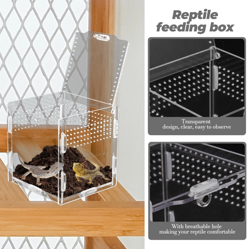 Clear Reptile Storage Holder Reptile Breeders Reptile Case Reptile Feeding Box