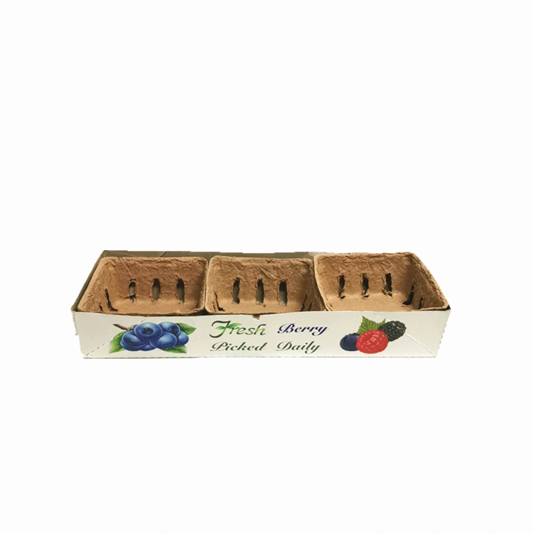 40Pcs Fruits Packaging Box Pulp Berry Basket Vegetable Fruit Packing Containers