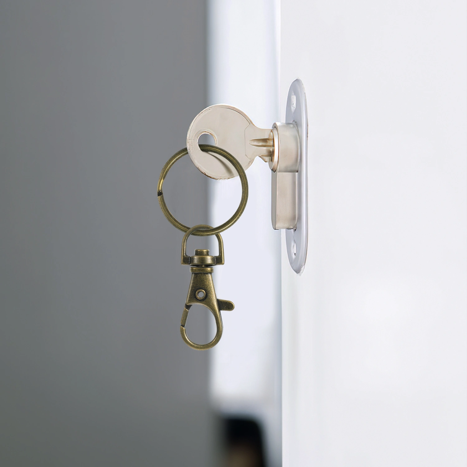 20 Sets Swivel Snap Hooks with Key Rings Small Keyring Rings Hoops with Lobster Claw Buckle Keys Attachments for Keys Organization