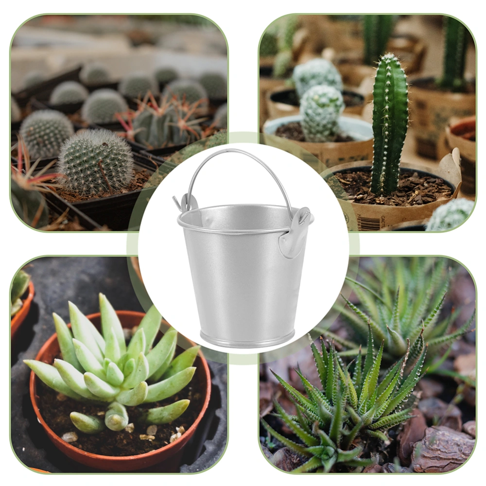 5pcs Small Metal Buckets with Handles Mini Tin Pails for Party Favors Succulents