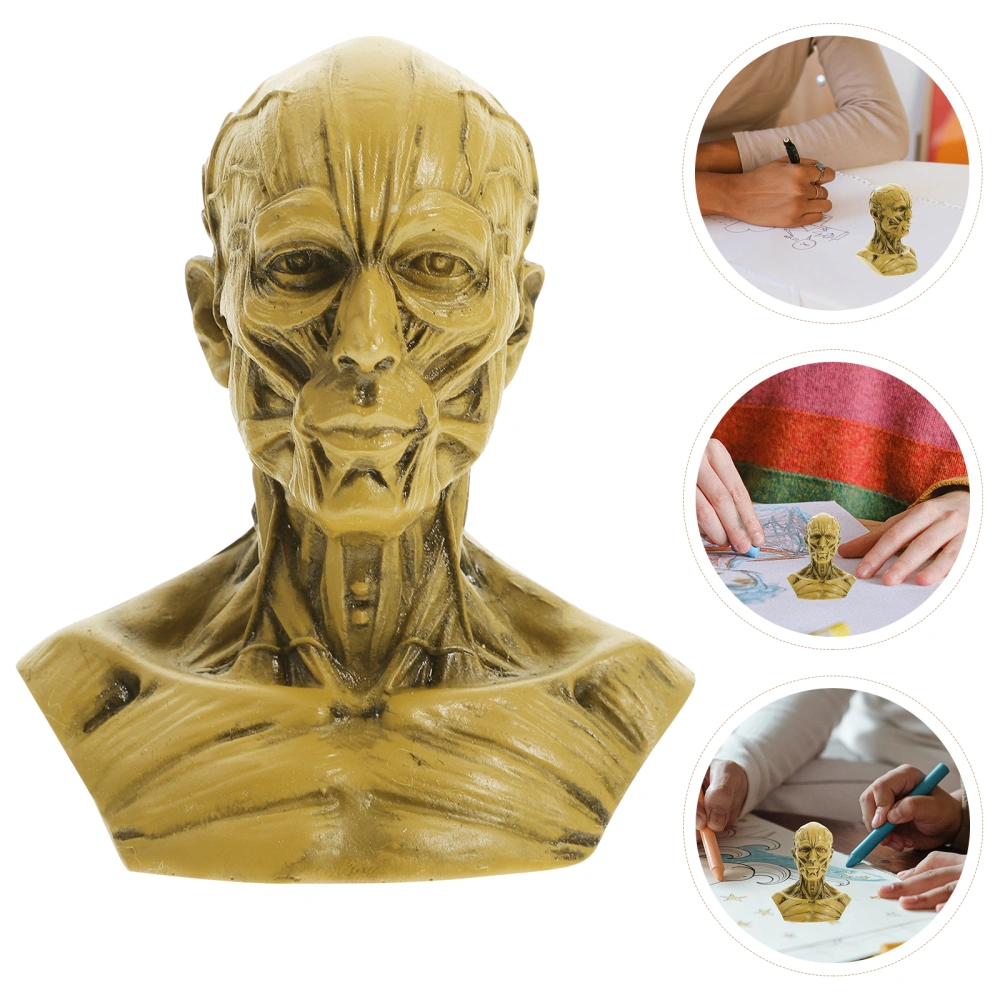 Sketch Figurine Human Model Anatomy Skull Head Muscle Statue Sketch Model Painting Model