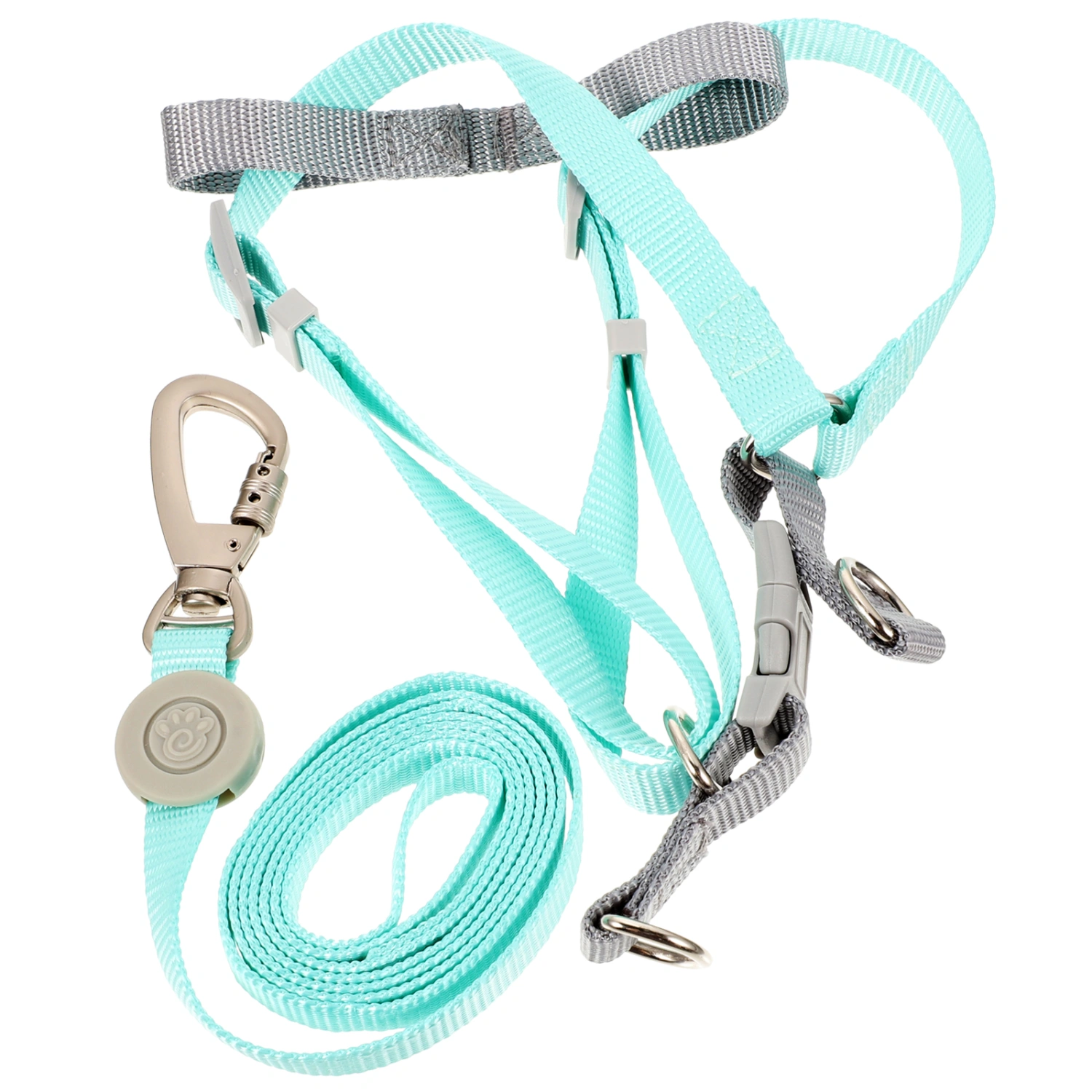 1 Set of Dog Harness and Leash Dog Leash Dog Harness Adjustable Dog Leash and Harness Set for Puppy