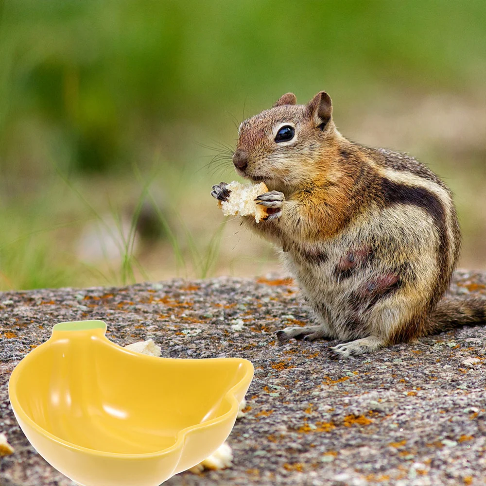 2pcs Household Pet Feeding Bowl Adorable Hamster Food Holder Ceramic Pet Food Container