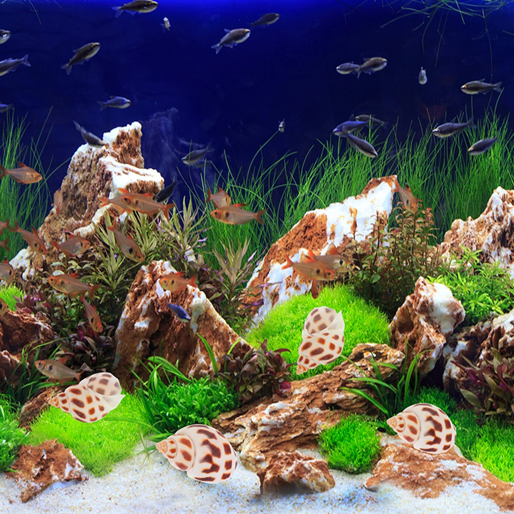 160Pcs Hermit Crab Shells Natural Shells Crafts Delicate Conch Ornaments Fish Tank Shells Decors