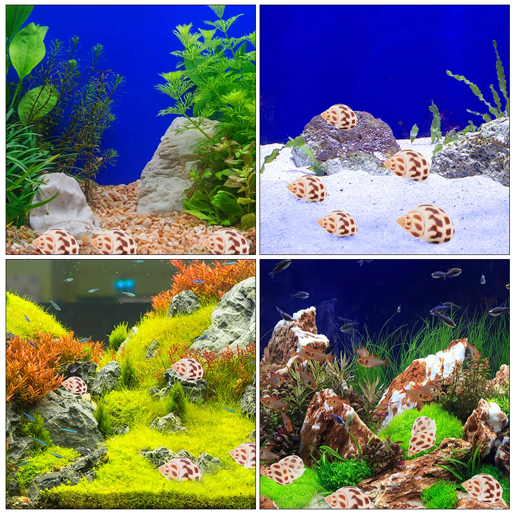 160Pcs Hermit Crab Shells Natural Shells Crafts Delicate Conch Ornaments Fish Tank Shells Decors