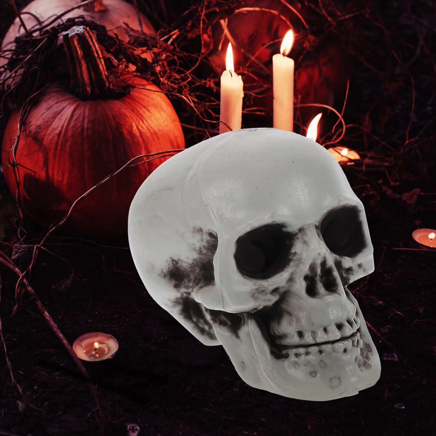 6Pcs Simulation Skeleton Head Models Small Skull Head Sculptures Realistic Skeleton Skulls Decors