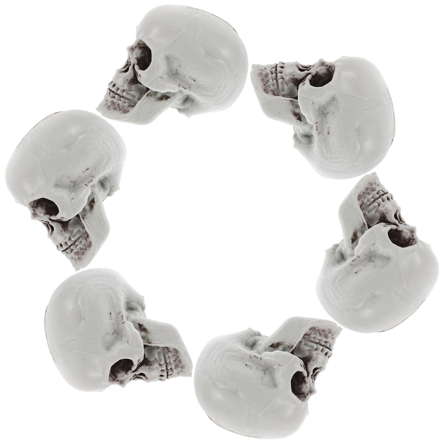 6Pcs Simulation Skeleton Head Models Small Skull Head Sculptures Realistic Skeleton Skulls Decors