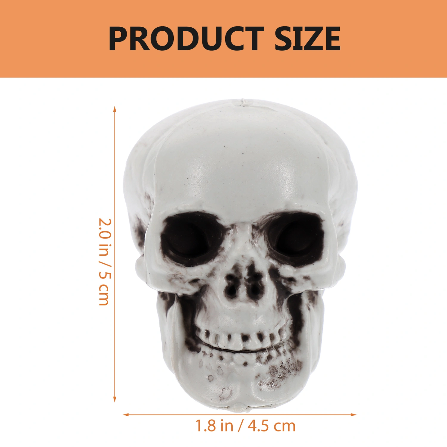6Pcs Simulation Skeleton Head Models Small Skull Head Sculptures Realistic Skeleton Skulls Decors