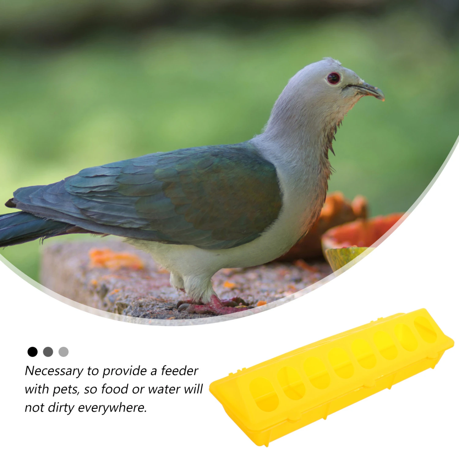 2pcs Portable Bird Feeding Holders Pigeon Feeder Containers Chicken Feeder Troughs