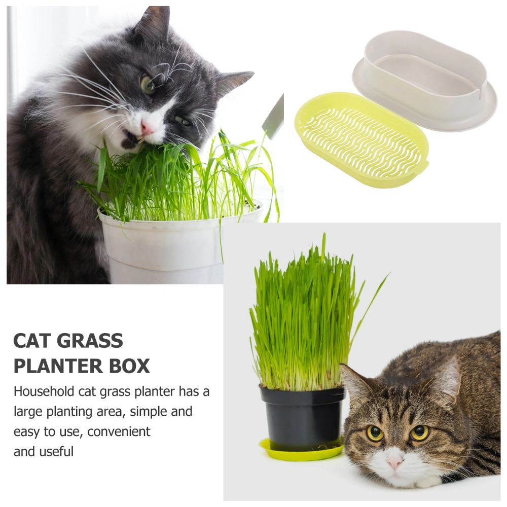 Cats Grass Hydroponic Box Cat Grass Planter Catnip Hydroponic Planter Catnip Cultivation Tray