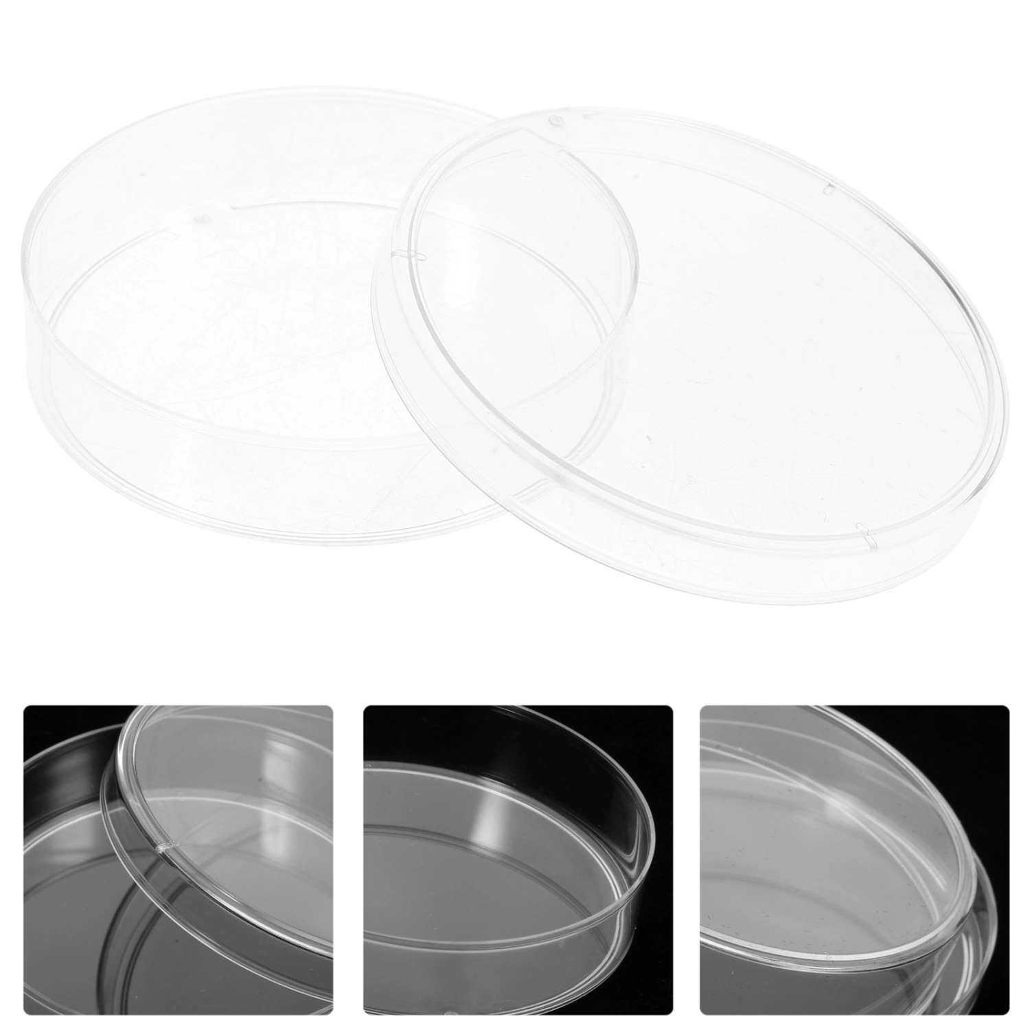 10Pcs Culture Dish Clear Culture Plates Culture Tray Culture Holder Laboratory Culture Dishes