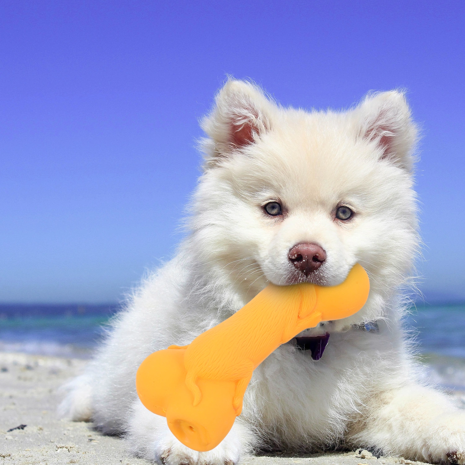 Puppy Chewing Toy Bite-resistant Dog Plaything Interactive Puppy Squeaky Plaything Random Style