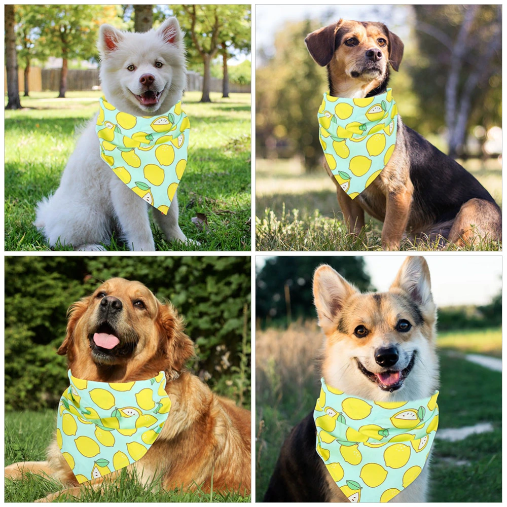 2pcs Pet Bandana Dog Triangle Summer Bandana Dog Scarf Pet Fruit Pattern Bib Pet Party Costume