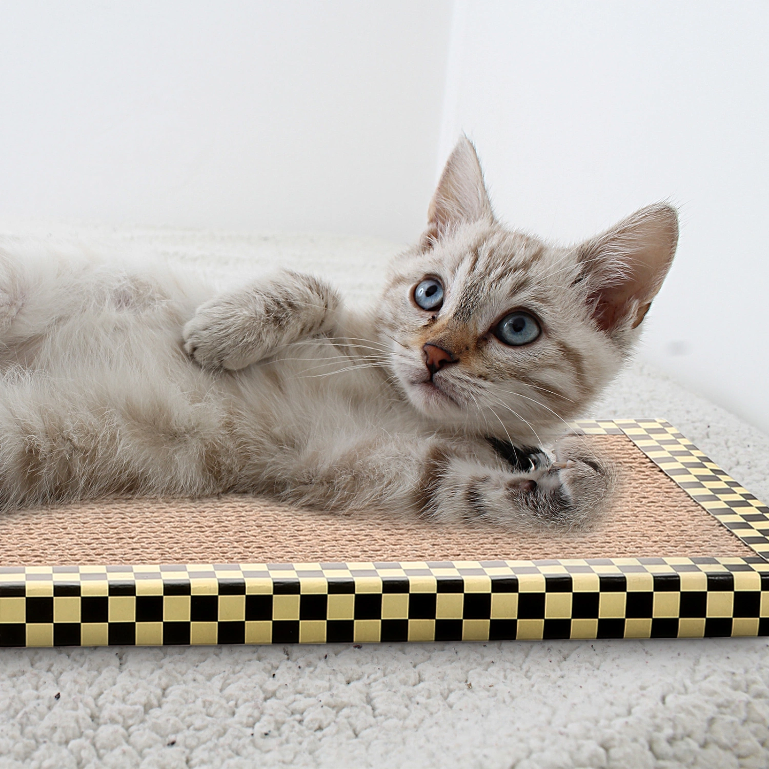 Cat Scratching Board Cat Scratcher Cat Scratch Pad Indoor Cats Kittens Scratcher Toy