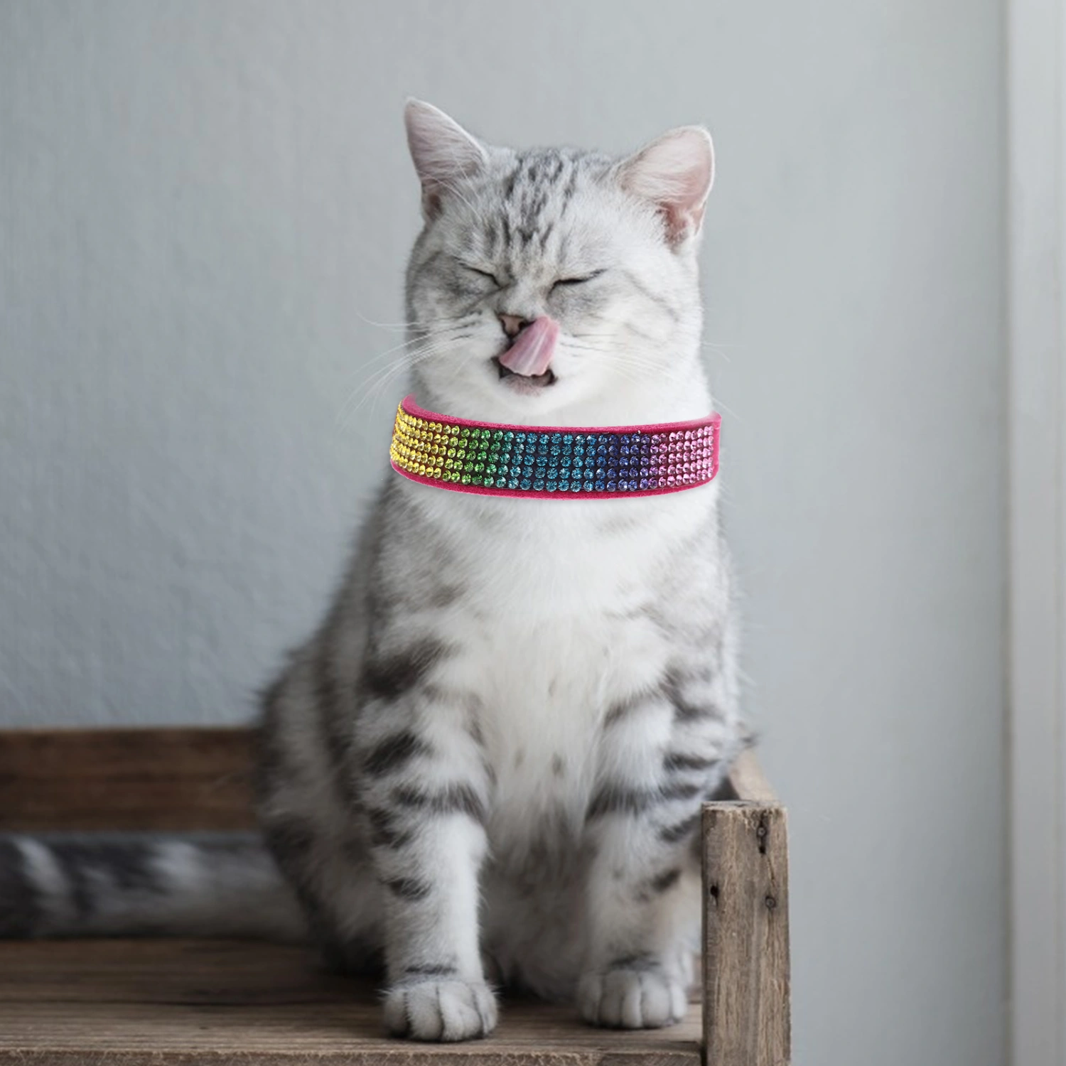 Sparkling Rhinestone Pet Collar Cute Cat Collar Skin-friendly Adjustable Puppy Collar