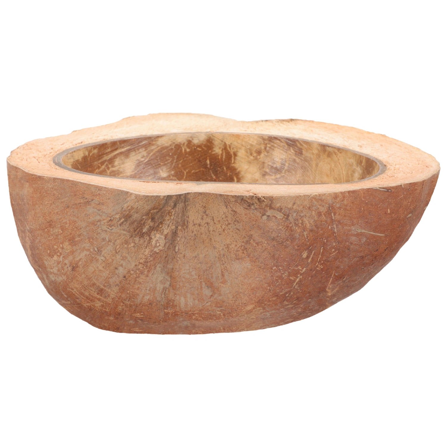 Cokernut Shell Bowl Natural Coconuts Bowl Dessert Serving Bowl Fruit Holder Coconuts Bowl