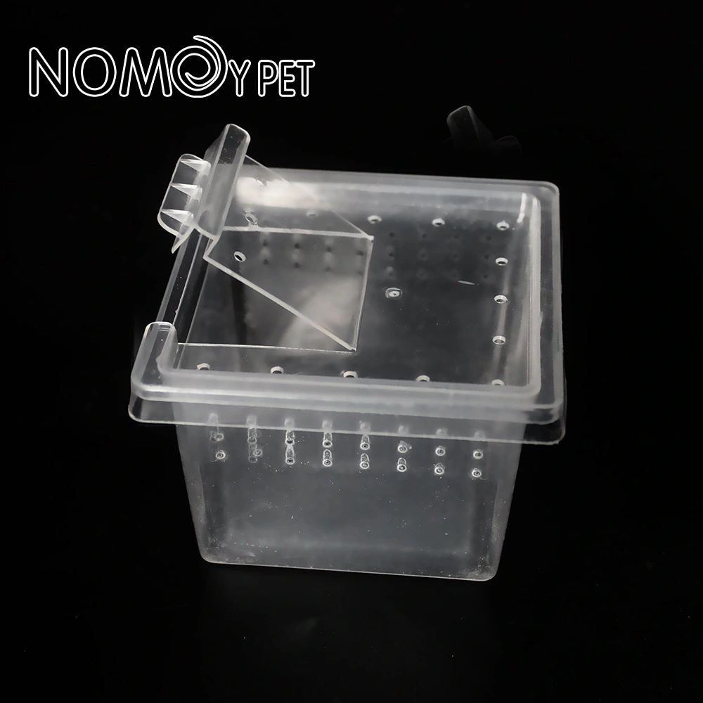 10Pcs Small Reptile Feeding Box Terrarium Breeding Box Transparent Insect Habitat Terrarium Case