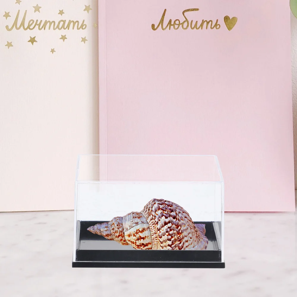 12Pcs Small Display Case Specimen Display Box Mini Cube Box Small Jewelry Display Box