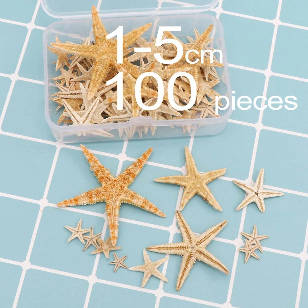 100Pcs Starfish Decor Shell Craft Decorative Shell Decor Diy Starfish Decor Shell Decor