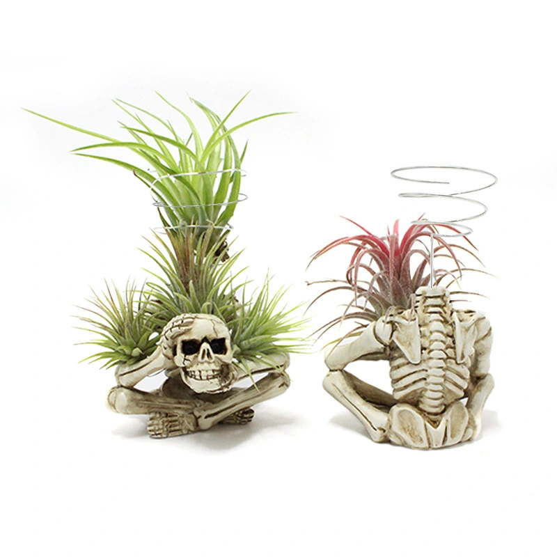 3Pcs Air Plant Racks Spiral Design Plant Holders Air Plant Holders Air Plant Display Stands