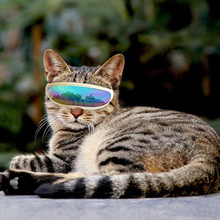 Cat Goggle Party Dog Goggles Pet Party Favor Pet Sunglasses Windproof Pet Glasses