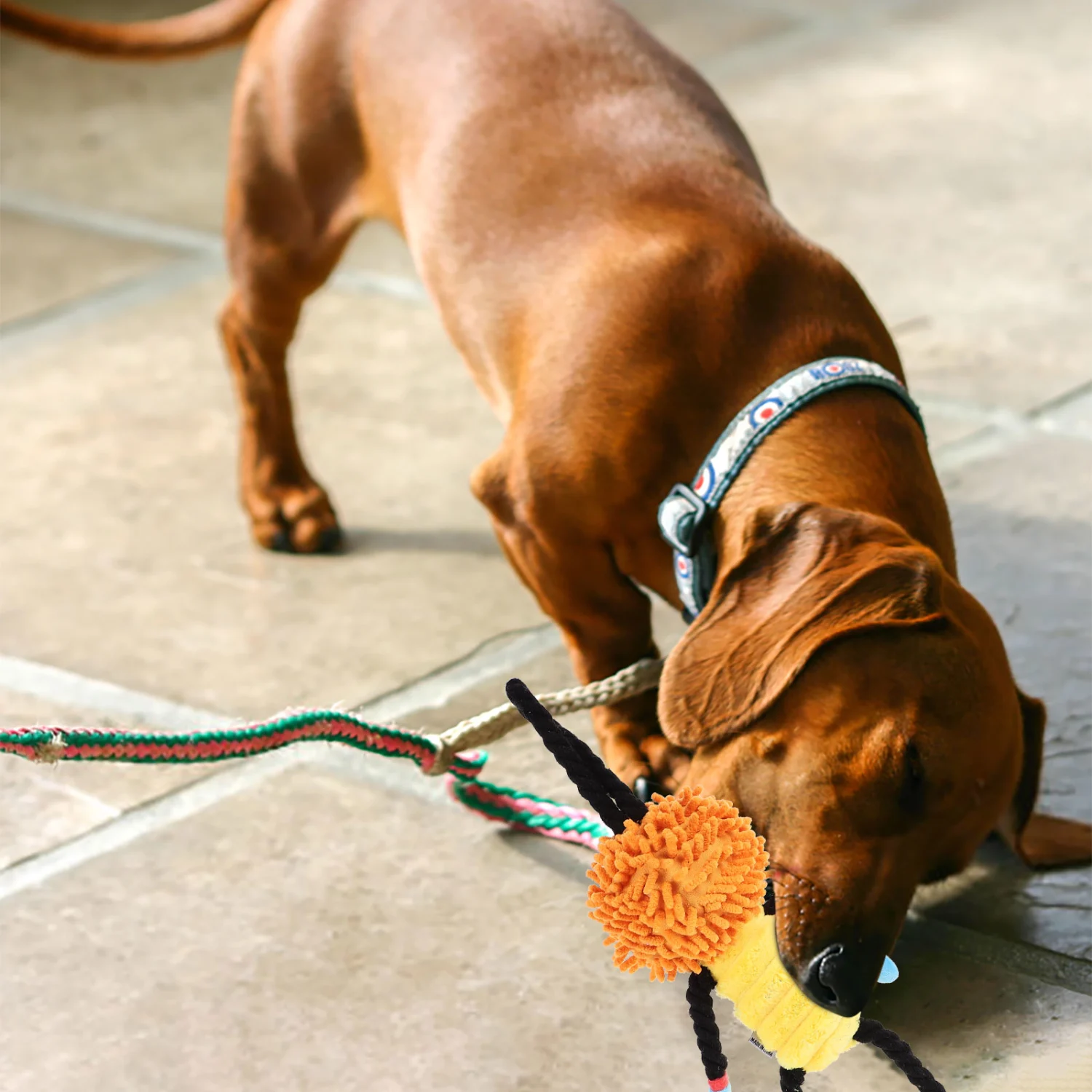 Dog Tug Toy Dog Toy for Aggressive Chewers Dog Rope Toy Squeaky Dog Chew Toy