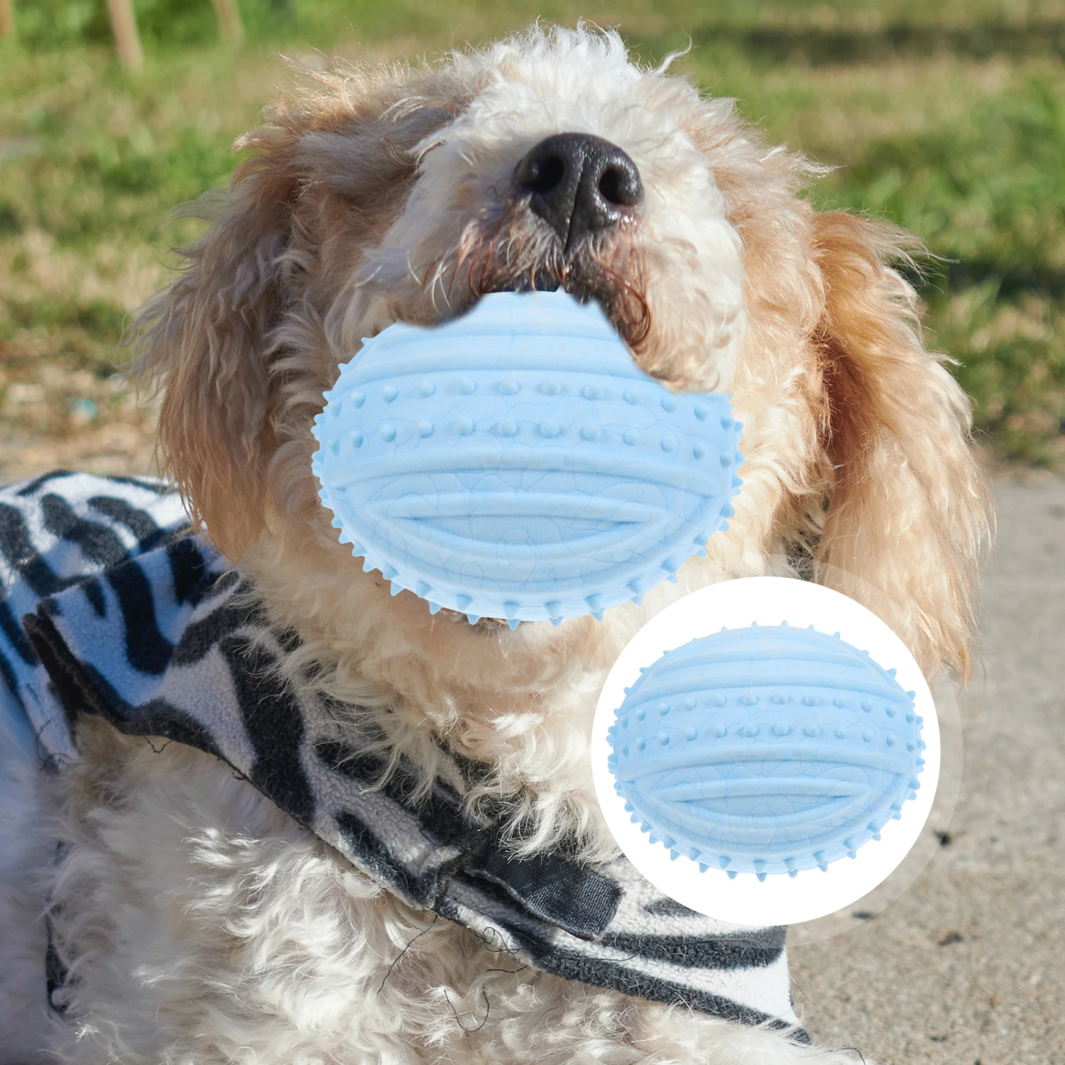 Dog Ball Dog Chewing Ball Toy Rubber Dog Ball Dog Chew Toy Dog Squeaky Plaything