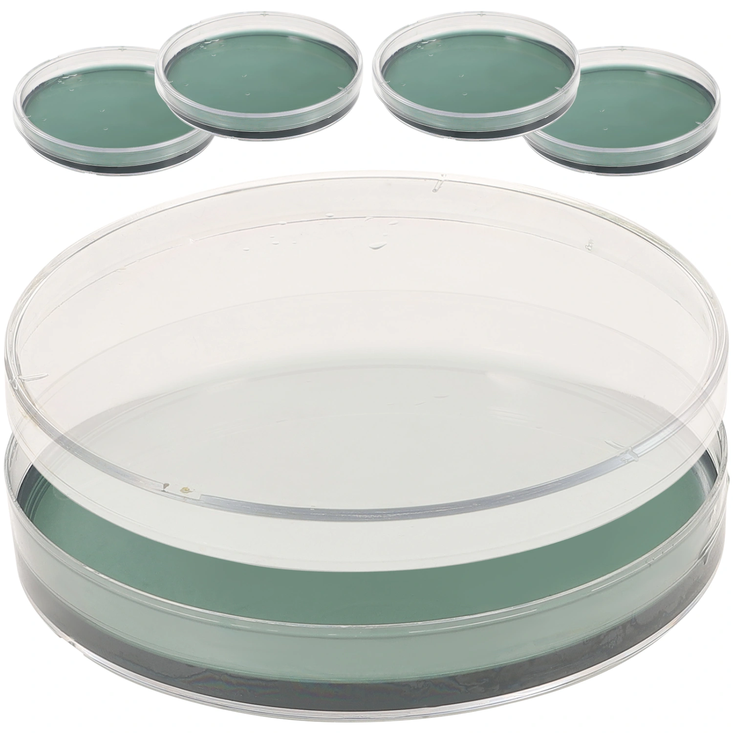 5pcs Agar Plates Portable Prepoured Agar Petri Dishes Science Fair Projects Supplies