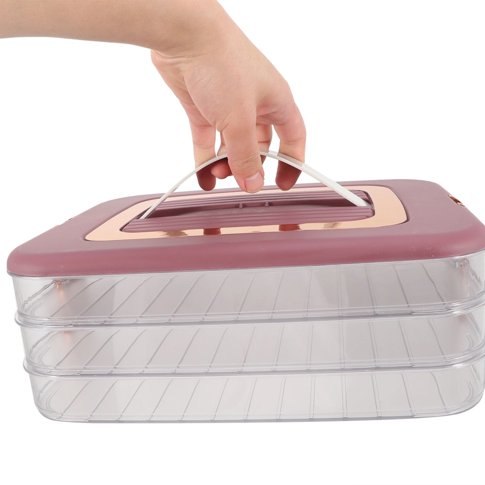 Large Capacity Dumpling Storage Box Multilayer Storage Case Dumpling Holder