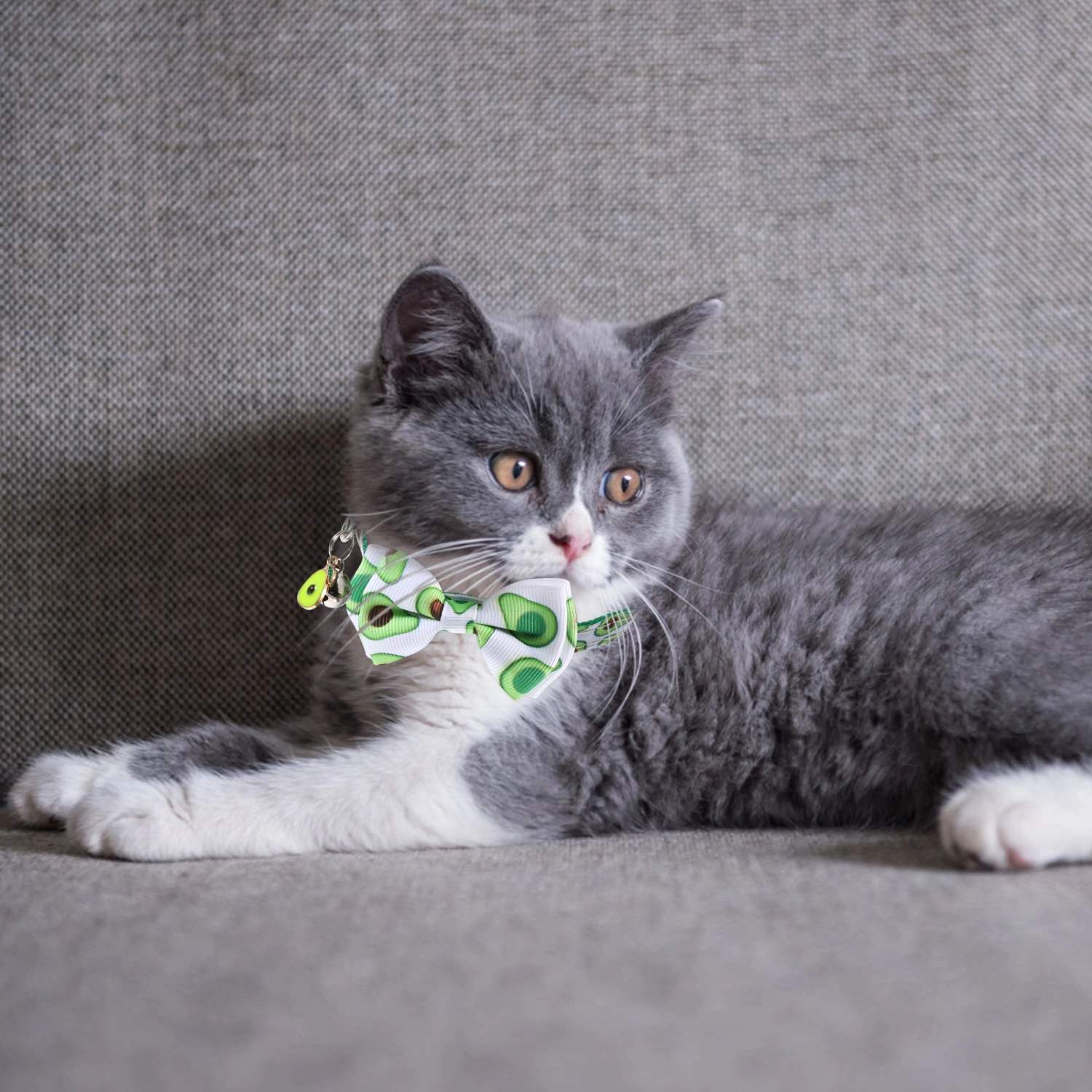 Wear-resistant Cat Collar Reusable Dog Collar Outdoor Kitten Collar Dog Supply with Bow