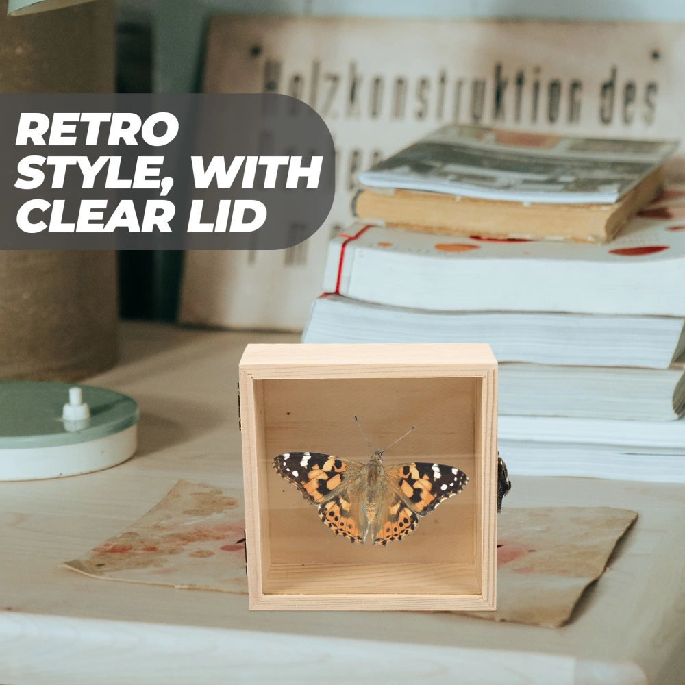 2pcs Displaying Insect Specimen Box With Transparent Lid Wooden Specimen Storage Case