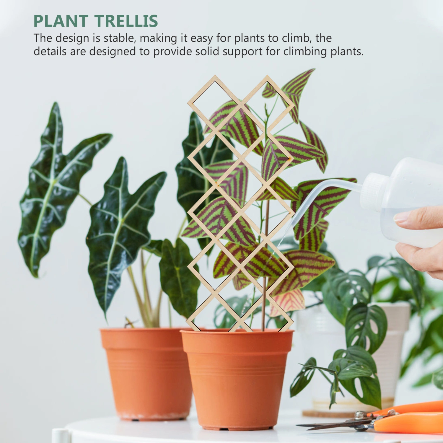 2pcs Wooden Trellis Plant Trellis Garden Trellis Plants Climbing Wooden Plant Trellis Frame