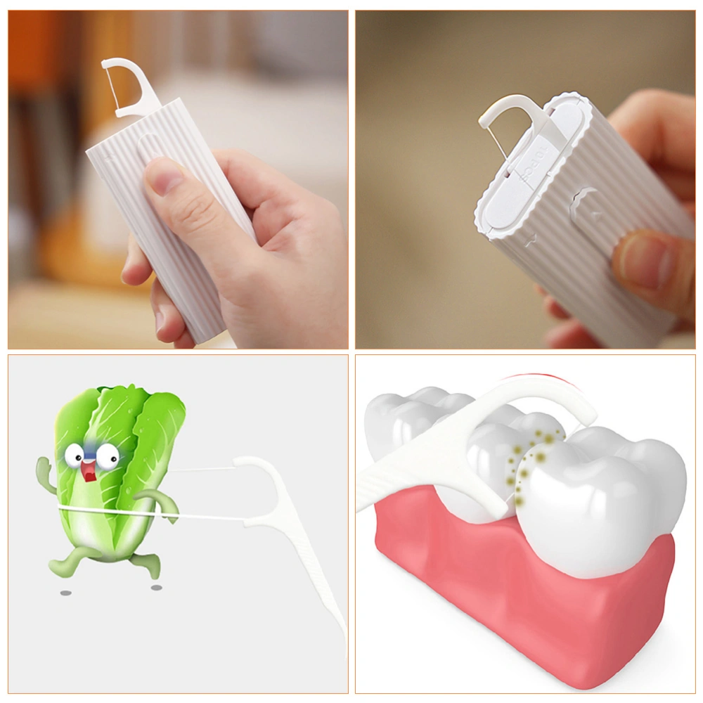 1 Set of Portable Flosses Convenient Teeth Flosses Professional Teeth Picks Tooth Supply