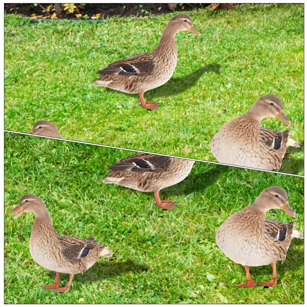 3pcs Funny 3d Duck Ground Stake Decor Weatherproof Acrylic Duck Ornament Yard Stake Ornaments