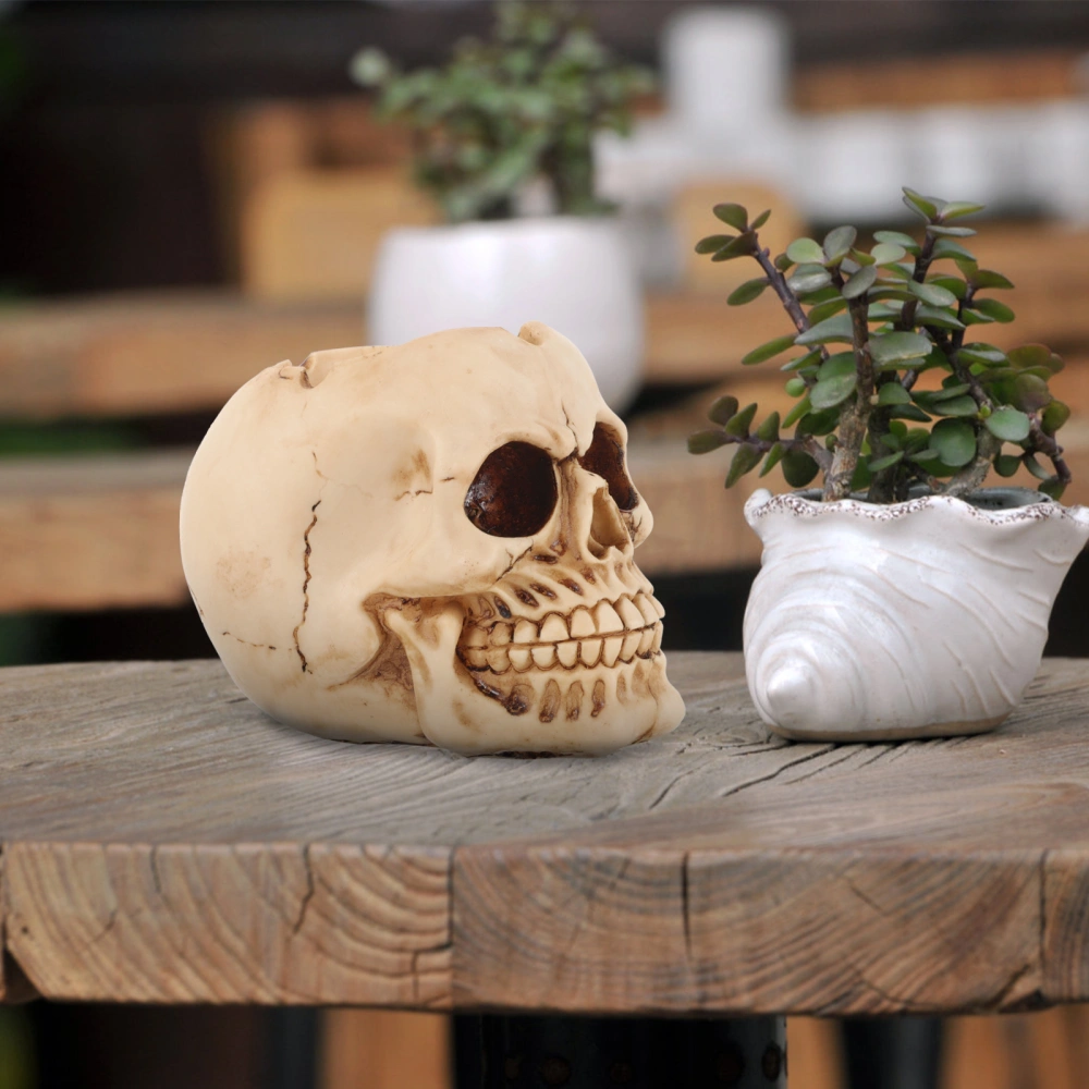 Skull Ashtray Decorative Ashtray Halloween Skull Sculpture Home Ashtray