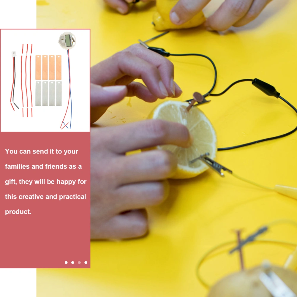 1 Set of Scientific Experiment Fruit Battery Student DIY Fruit Battery School Student Experiment