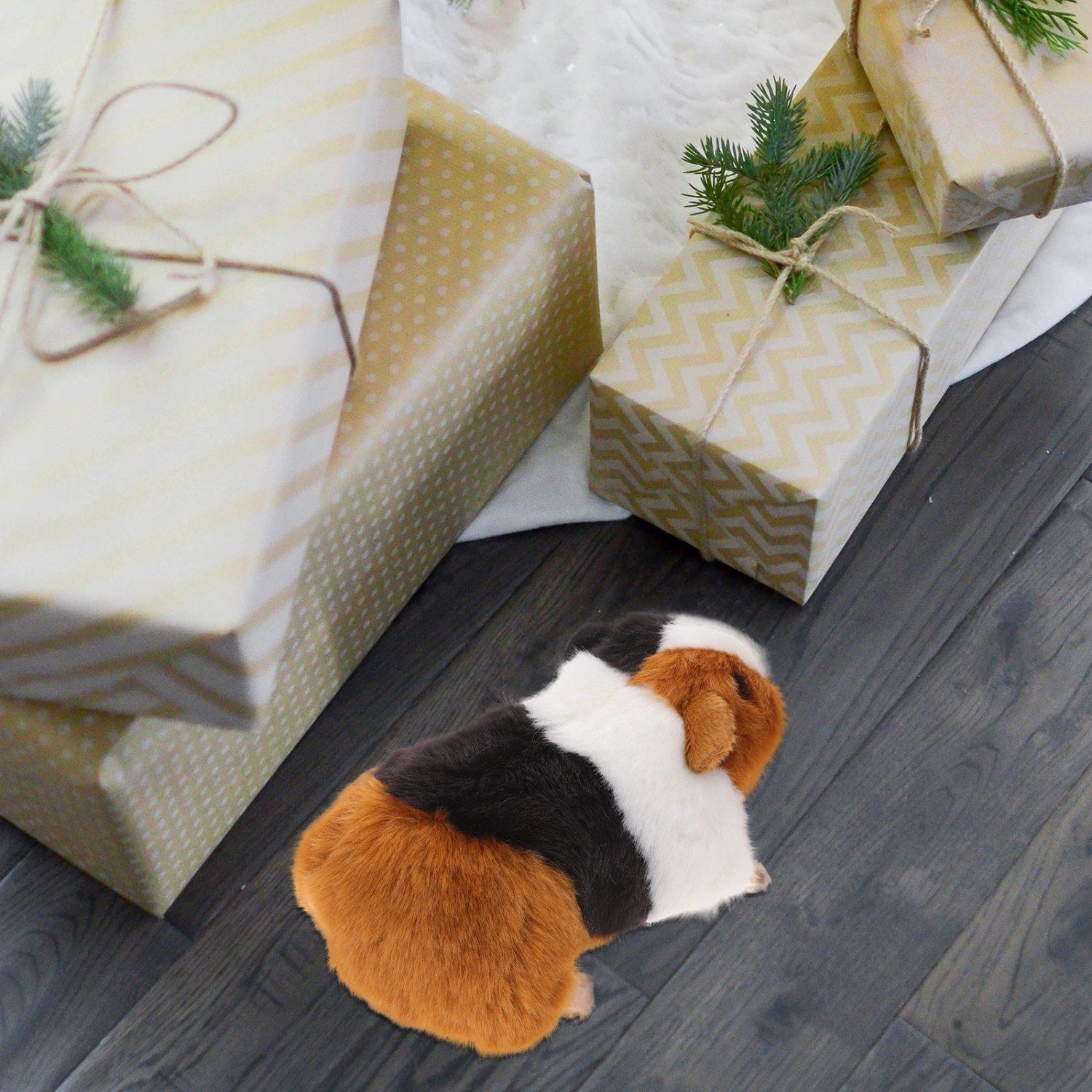 Guinea Pig Plush Toy Realistic Stuffed Animal Guinea Pig Doll Toy for Women Boys Girls