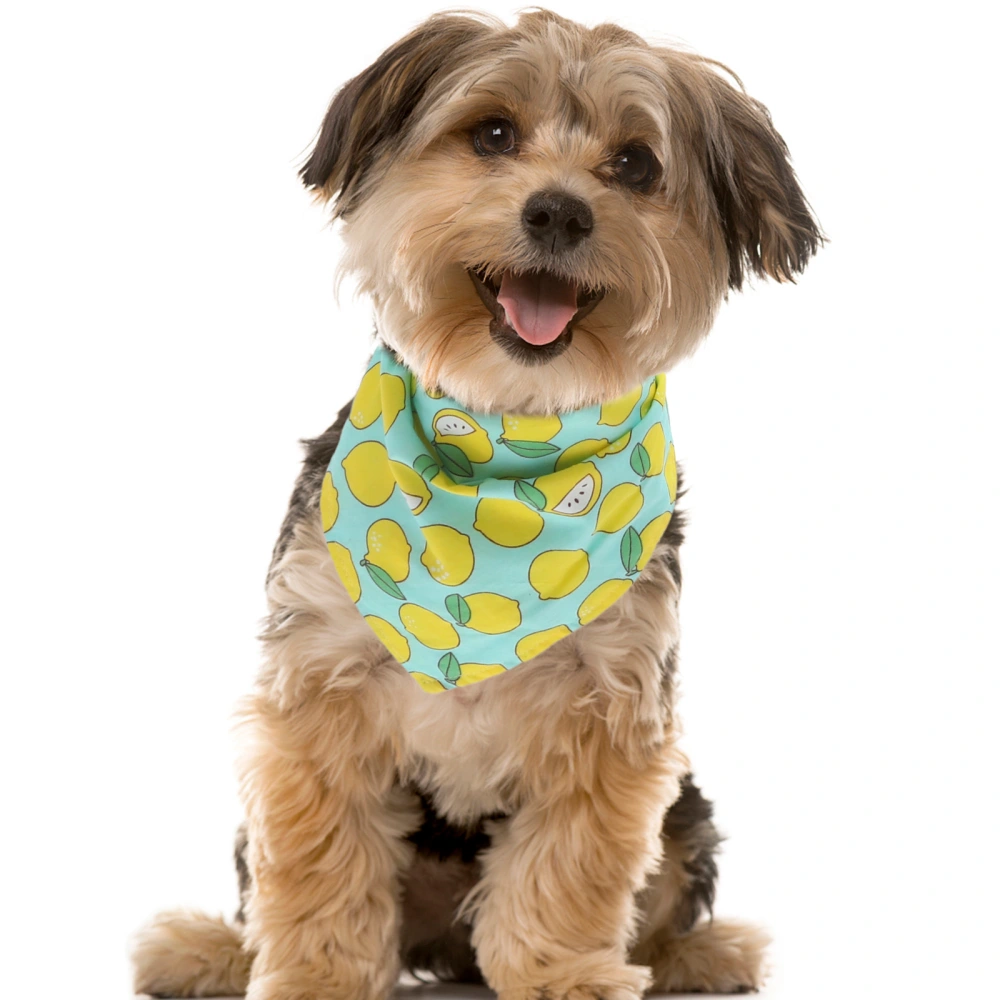 1 Set of Washable Dog Bandana Adorable Dog Costume Decorative Hairband Dog Supply