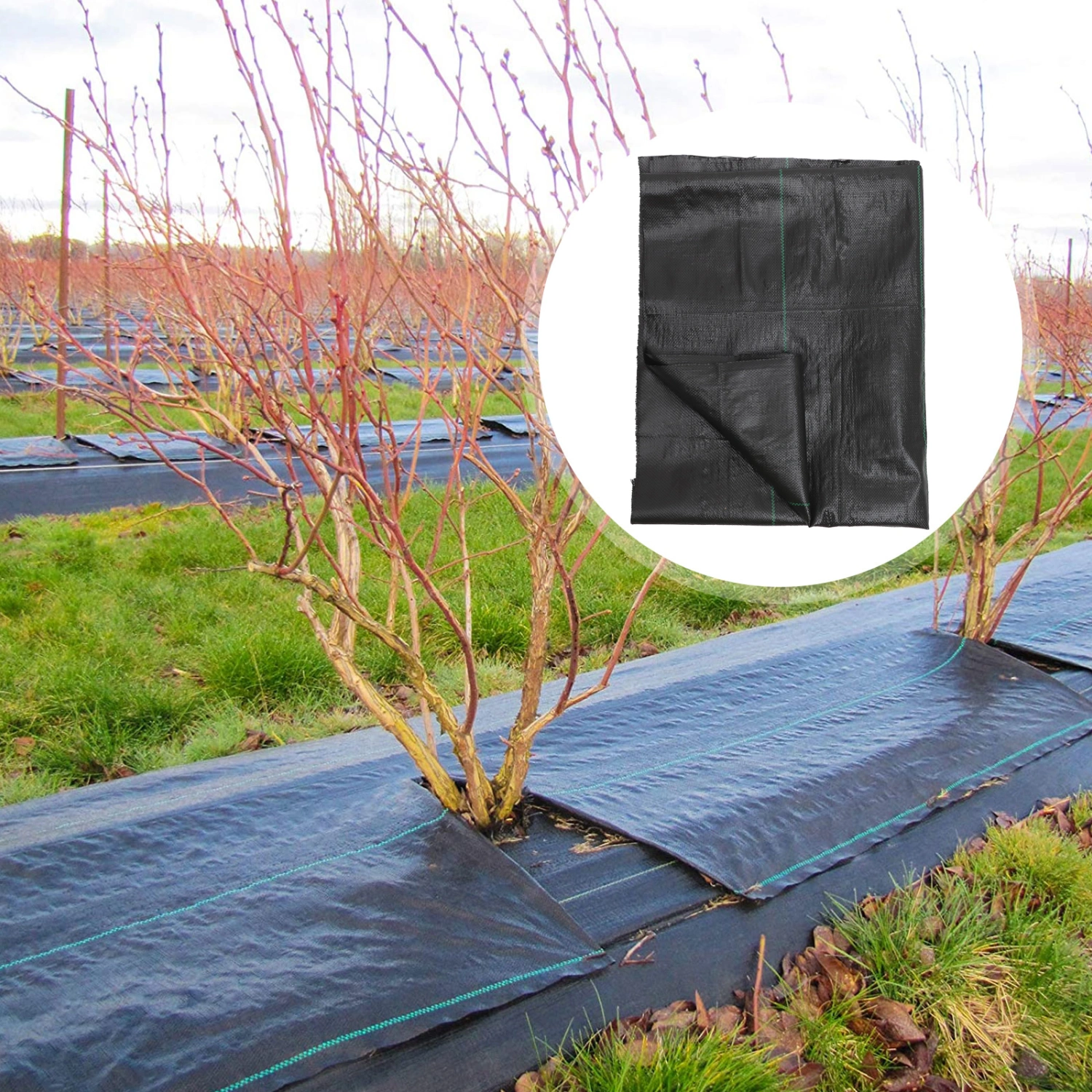 Heavy Duty Lawn Weed Barrier Outdoor Gardens Landscape Weed Barrier Fabric