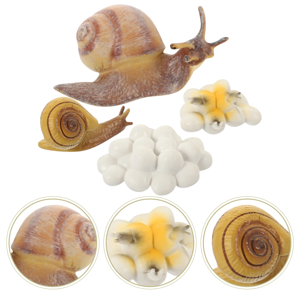 1 Set of Creative Snail Growth Toys Toddlers Snail Learning Toys Lifelike Snail Learning Models Kids Toys (Random Style)