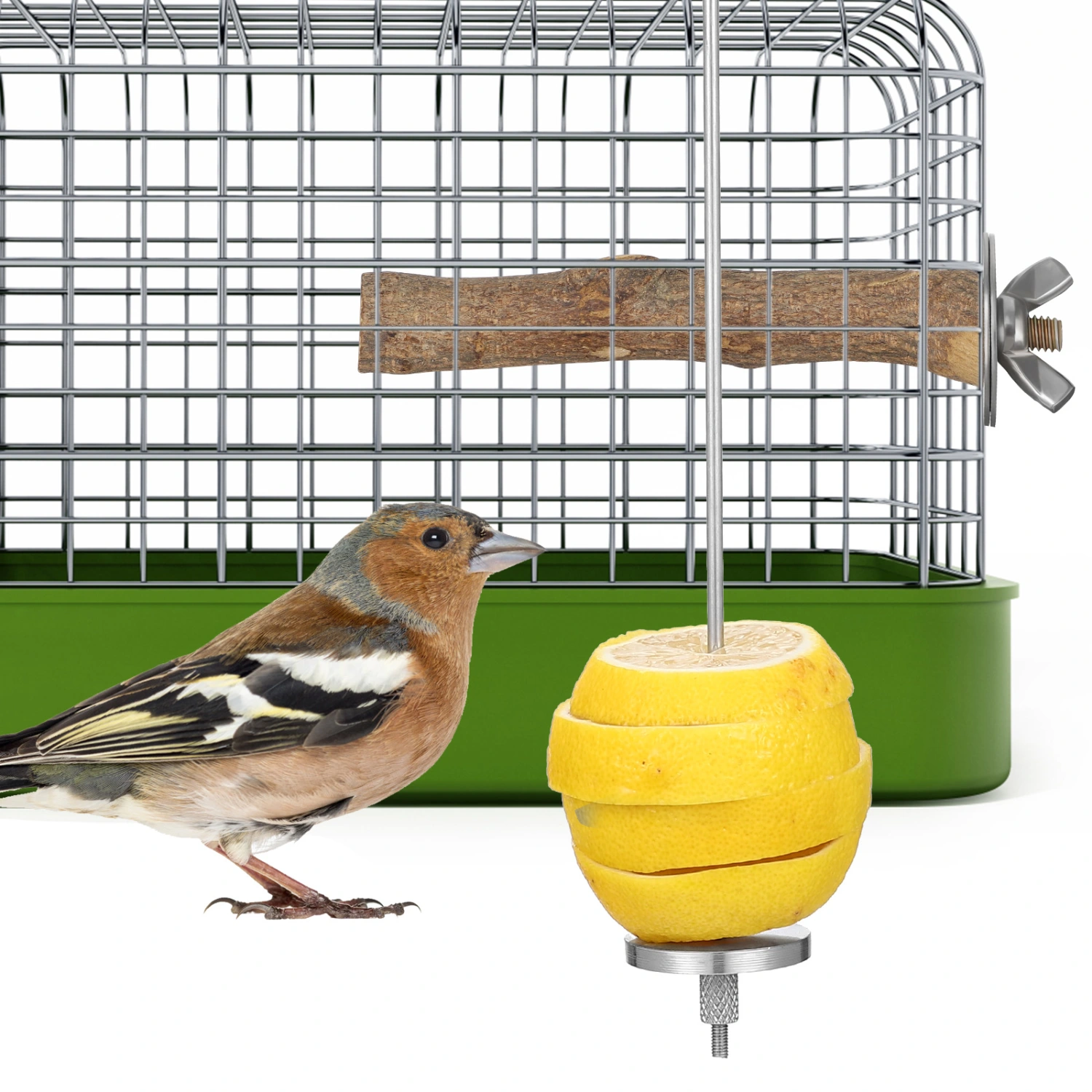 2 Pcs Stainless Steel Bird Skewers Bird Treat Skewers Bird Food Holders Fruit Vegetable Sticks for Cage