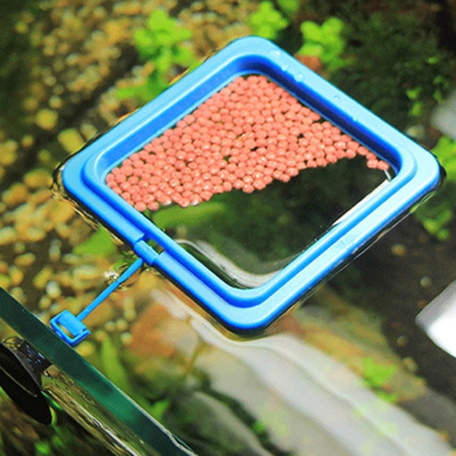 3Pcs Portable Fish Feeder Rings Aquarium Feeding Circles Professional Aquarium Rings
