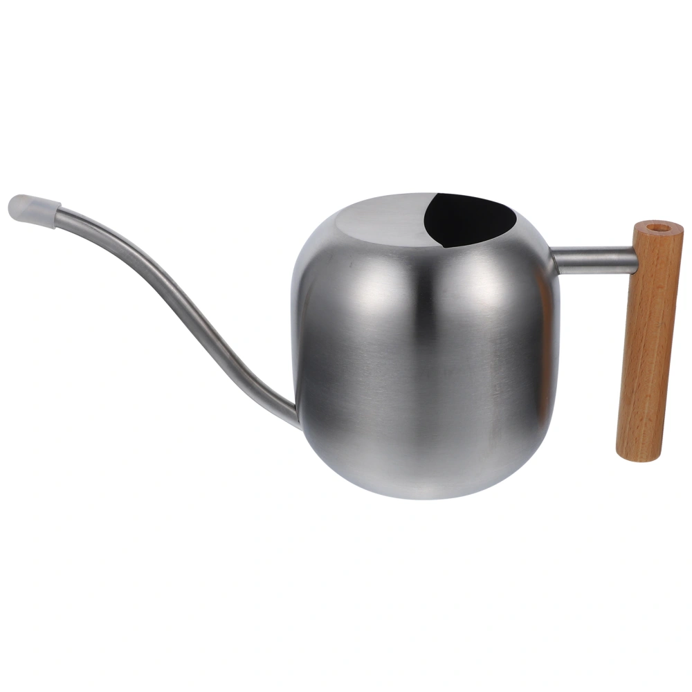 Watering Can for Indoor Plants Small Watering Can Stainless Steel Plant Watering Can