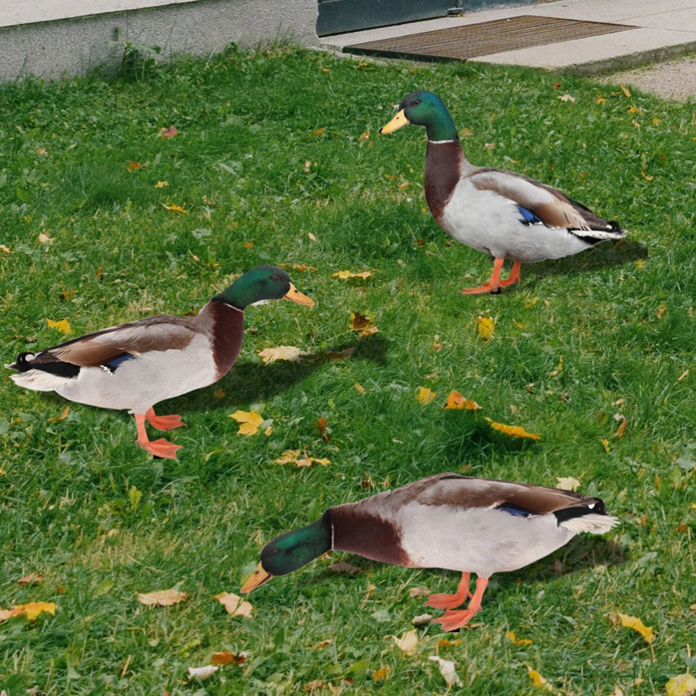 3pcs Realistic Duck Stake Outdoor Use Artificial Duck Pattern Ground Stake Lawn Decor Supply