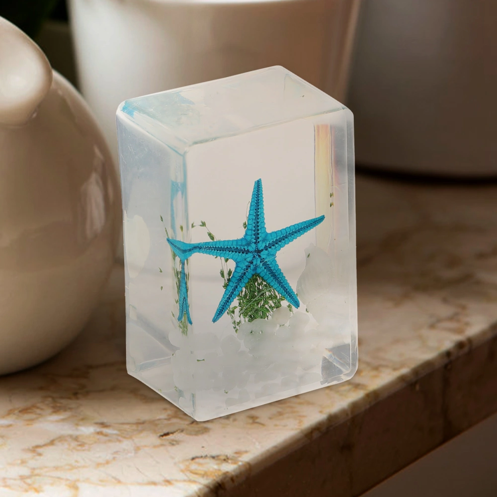 3pcs Transparent Marine Animals Specimen Resin Crafts Decorative Ocean Travel Souvenir