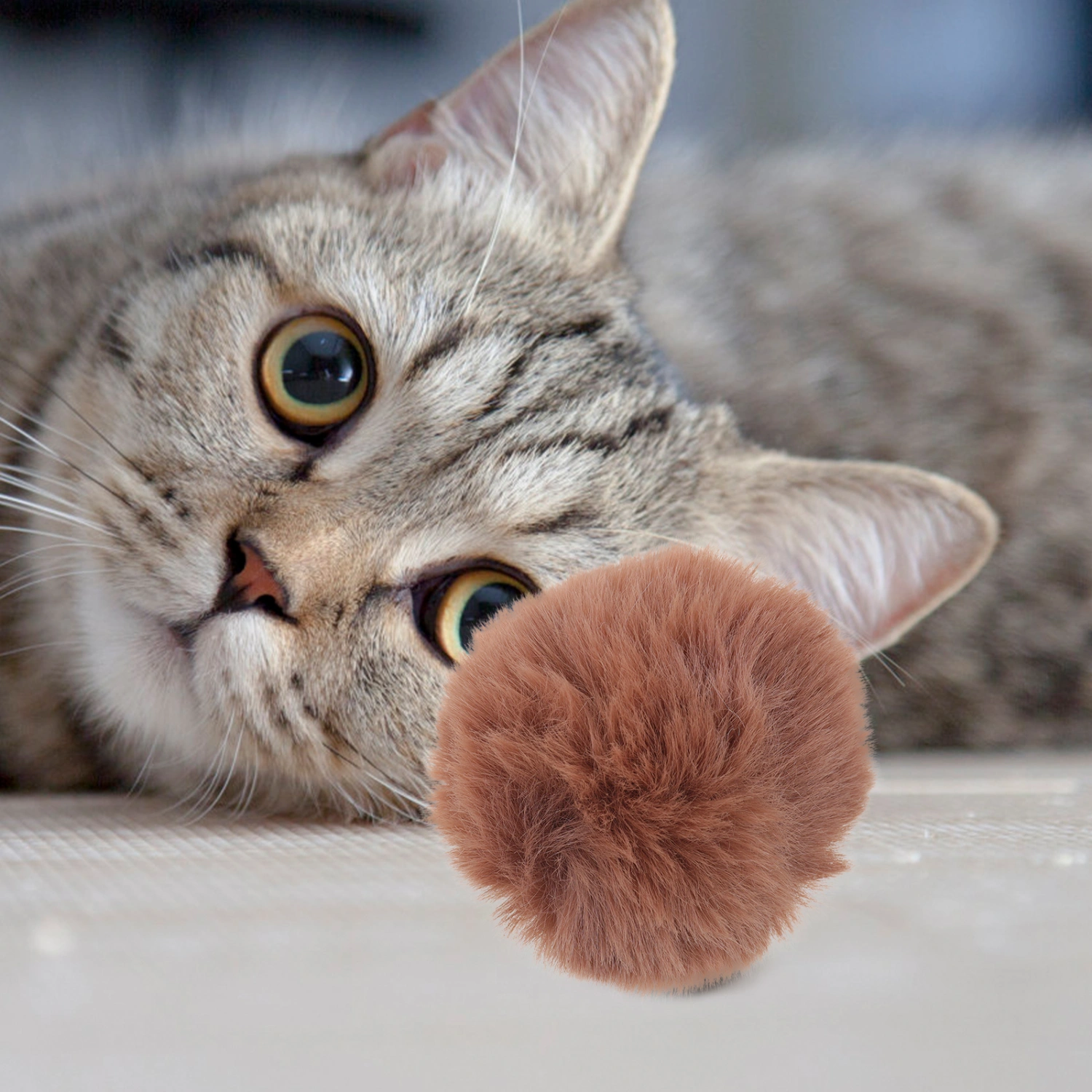 10Pcs Interesting Cat Toys Cat Balls Toys Colored Cat Kicking Toys Household Cat Toys