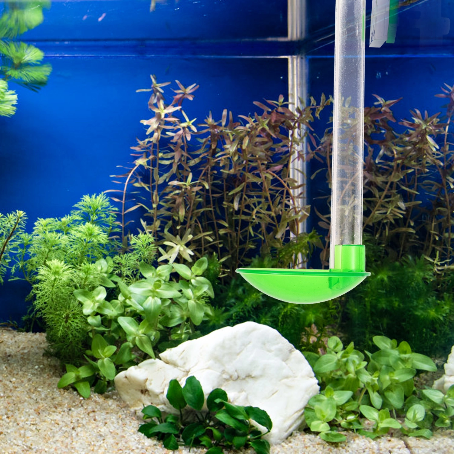 1 Set of Aquarium Shrimp Feeder Transparent Aquarium Feeder Convenient Shrimp Feeding Tube