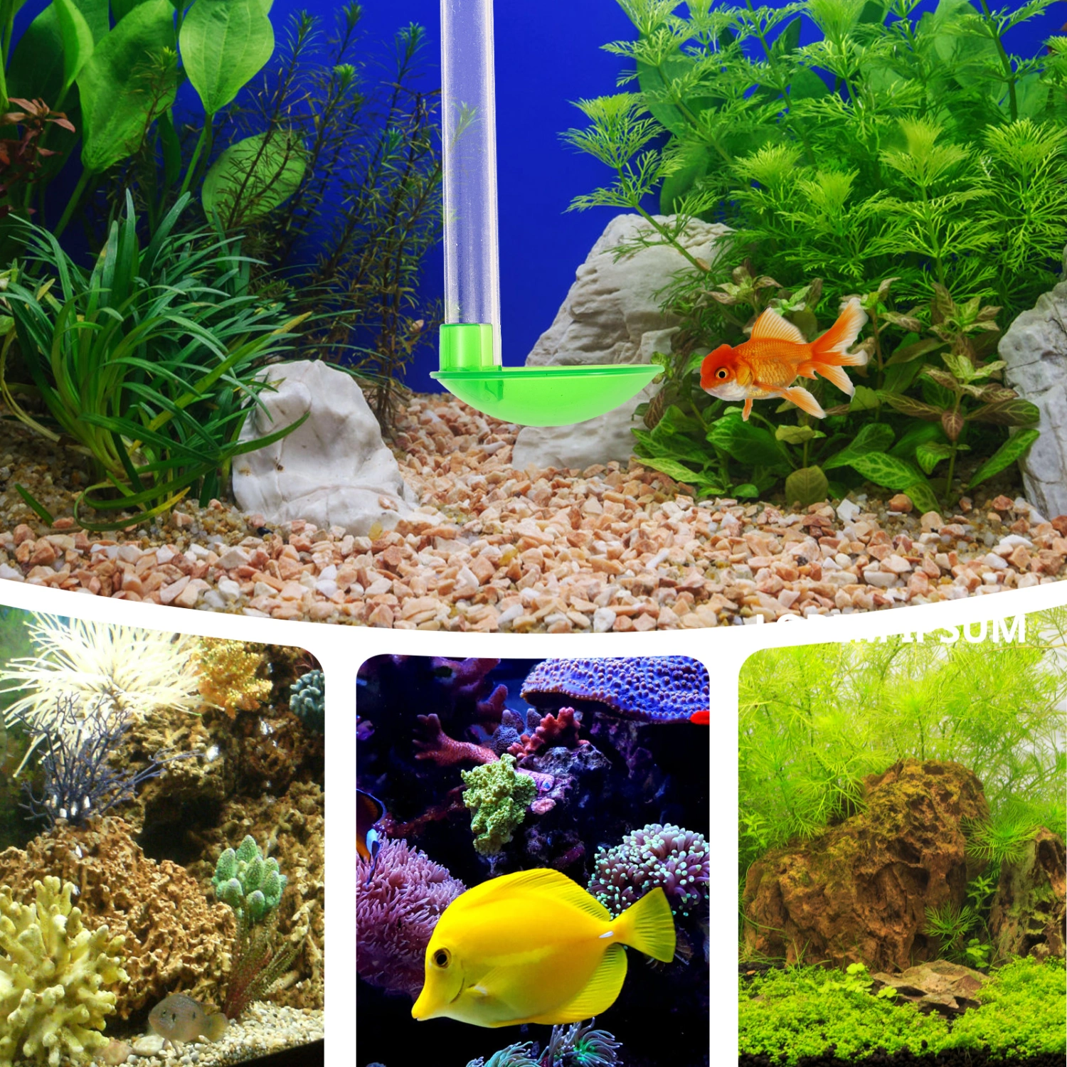 1 Set of Aquarium Shrimp Feeder Transparent Aquarium Feeder Convenient Shrimp Feeding Tube