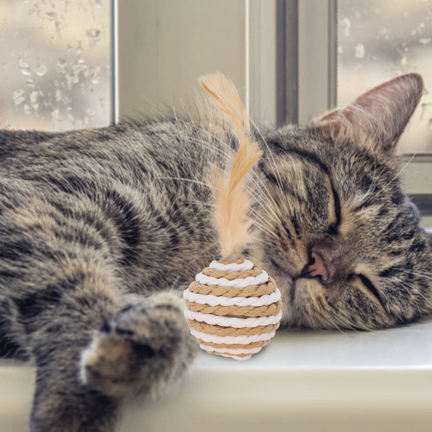 6Pcs Interesting Cat Toys Cat Ball Toys Funny Cat Kicking Toys Household Cat Toys